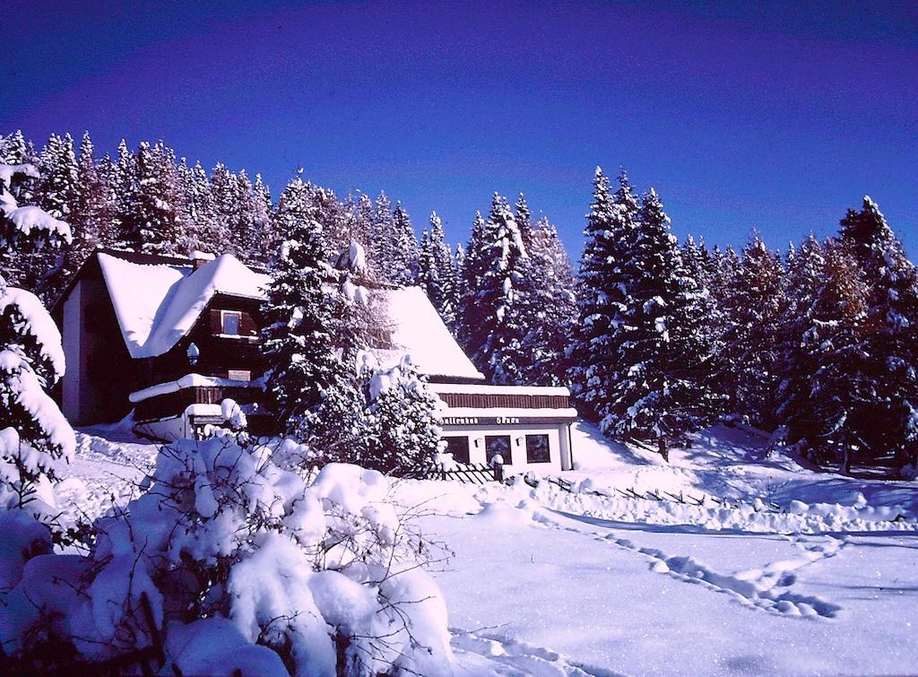 Almgasthof Judenburger Hutte Hotel Sankt Wolfgang Exterior photo
